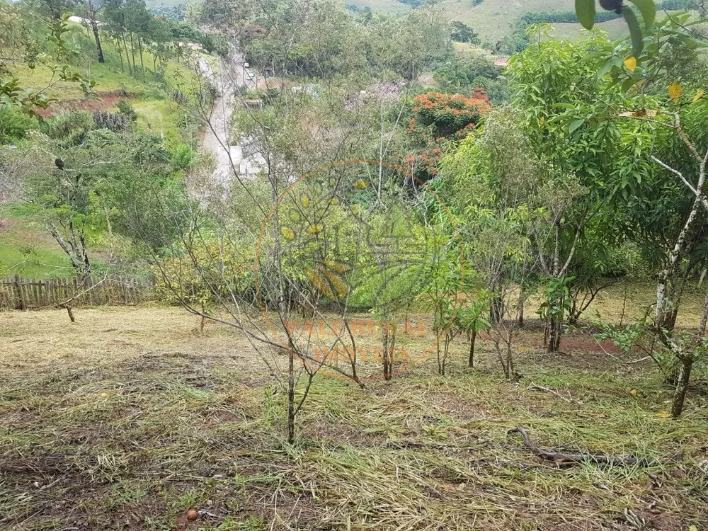 Fazenda - Foto 4
