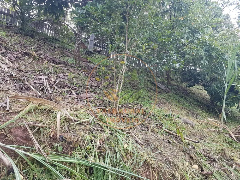 Terreno - Foto 7