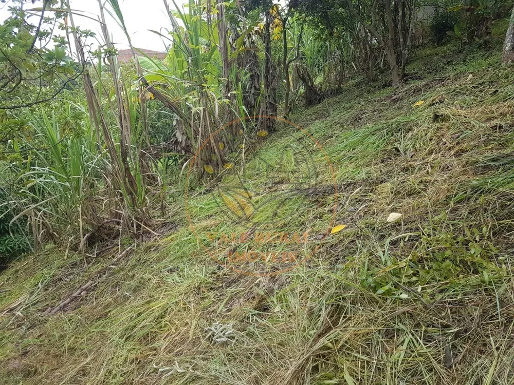 Fazenda - Foto 1