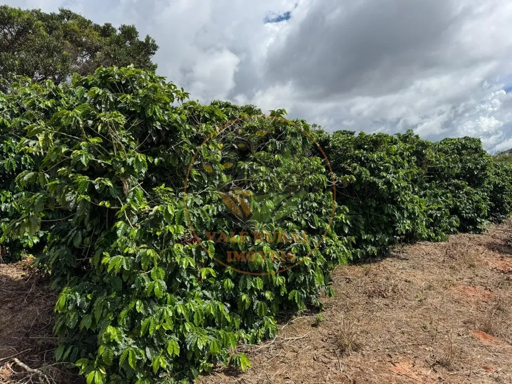 Fazenda, 4 quartos - Foto 9