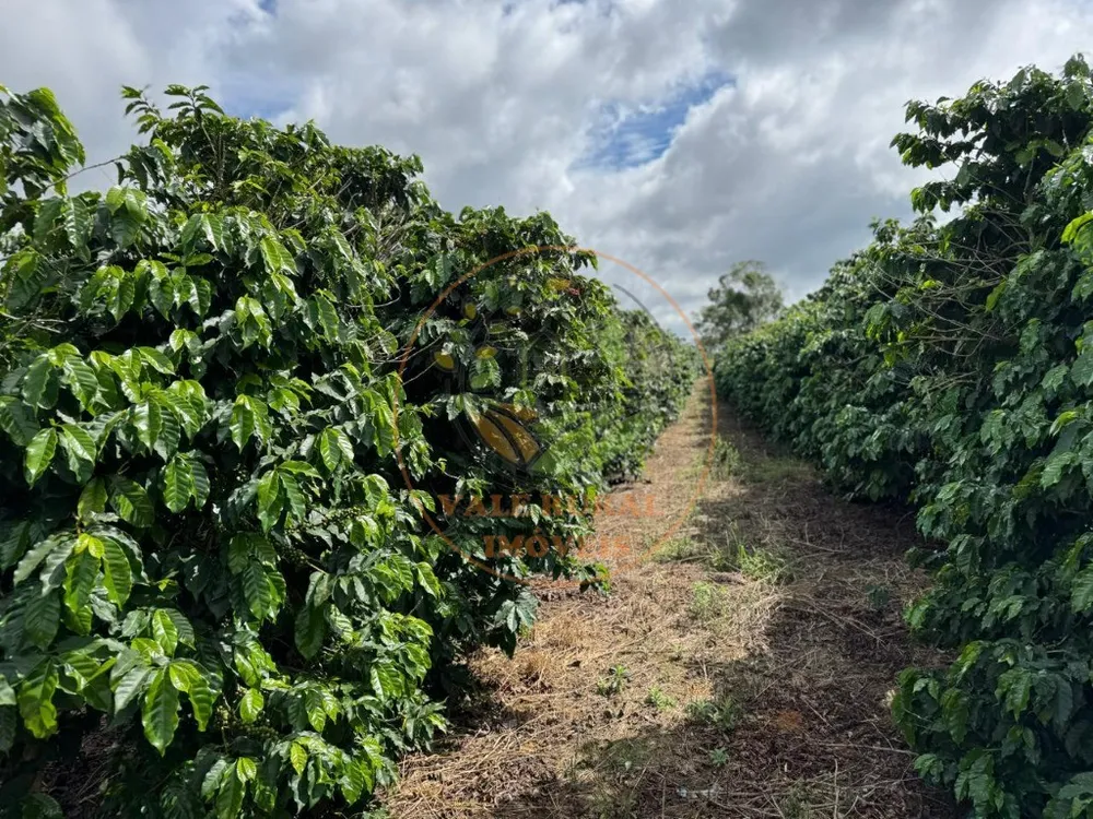 Fazenda, 4 quartos - Foto 3