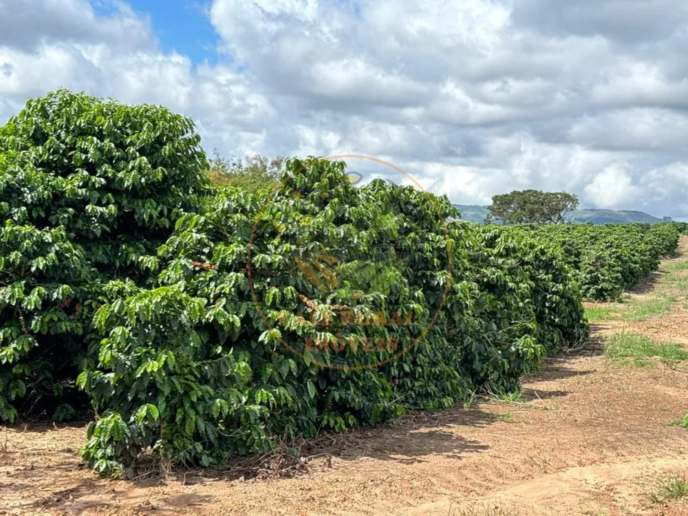 Fazenda, 4 quartos - Foto 1
