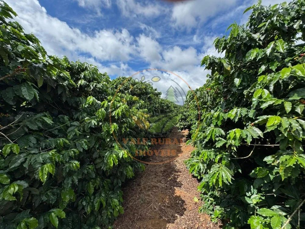 Fazenda, 4 quartos - Foto 4