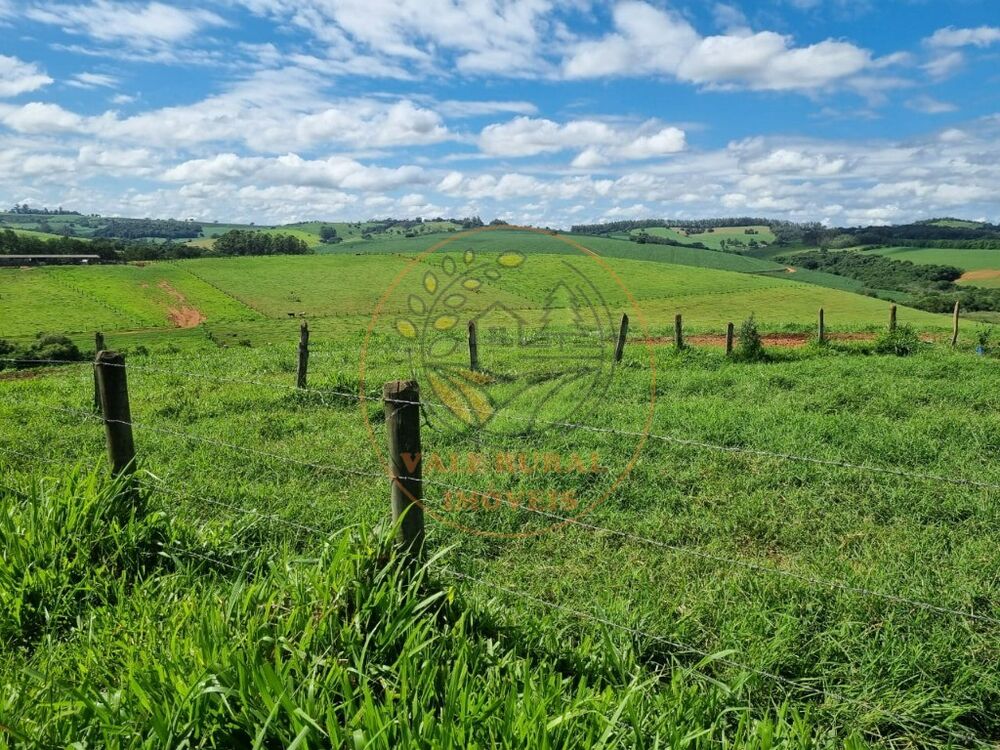 Fazenda, 3 quartos - Foto 4