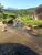 Fazenda - Foto 2