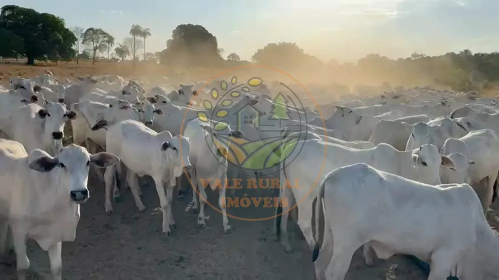 Fazenda - Foto 2