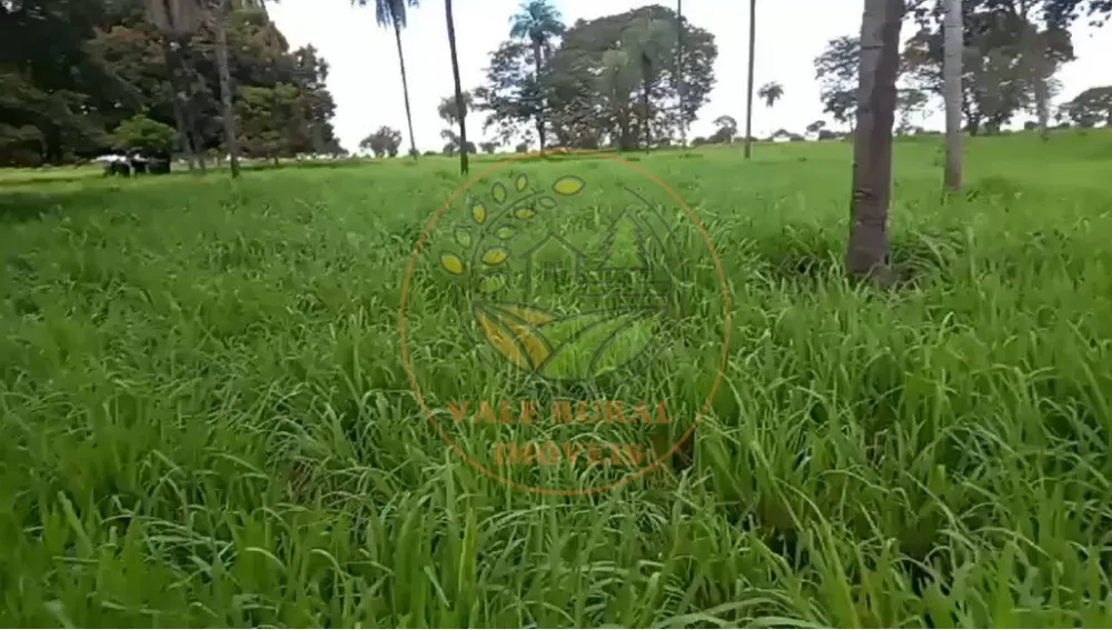 Fazenda - Foto 6