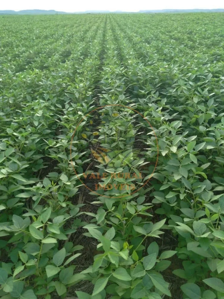 Fazenda - Foto 9