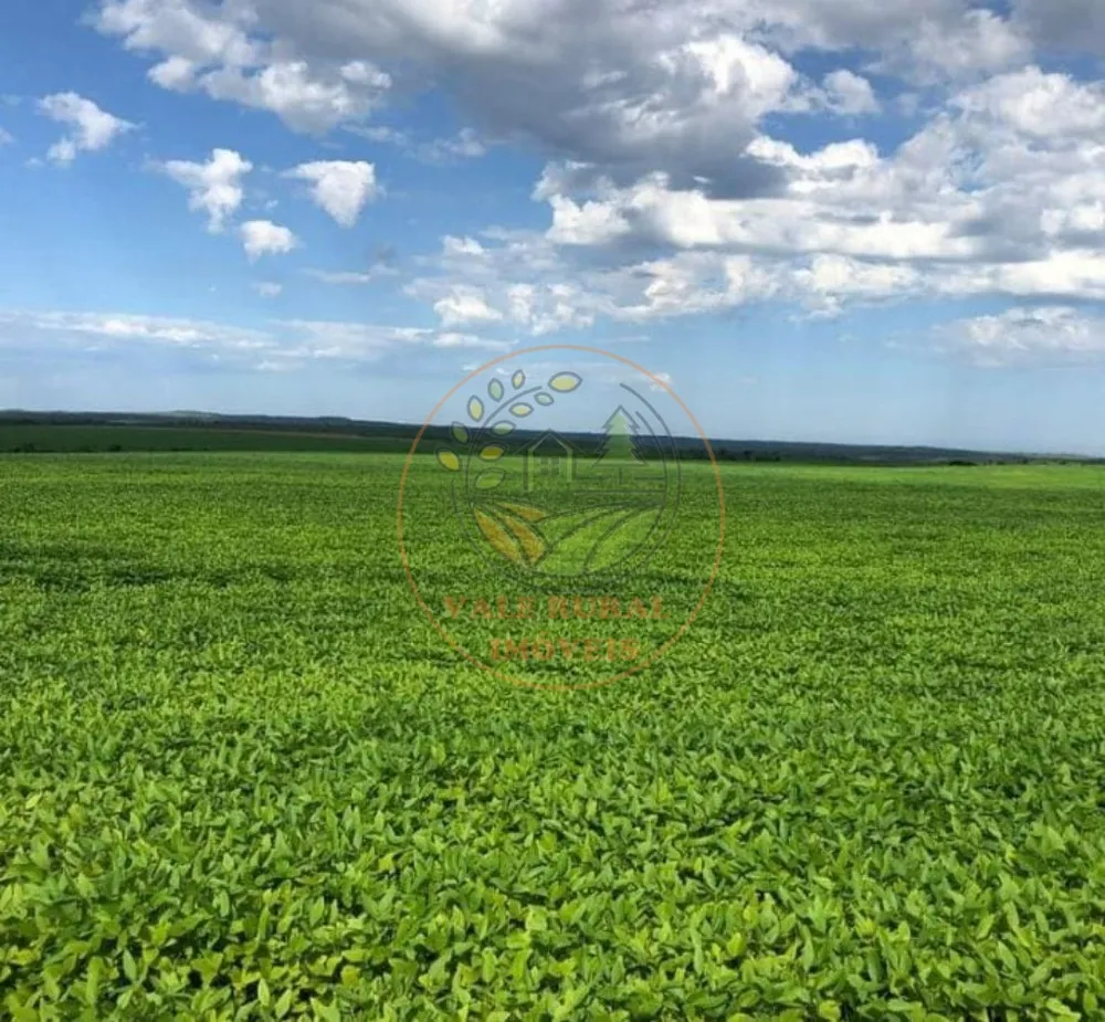 Fazenda - Foto 3