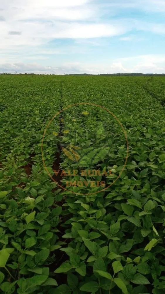 Fazenda - Foto 8