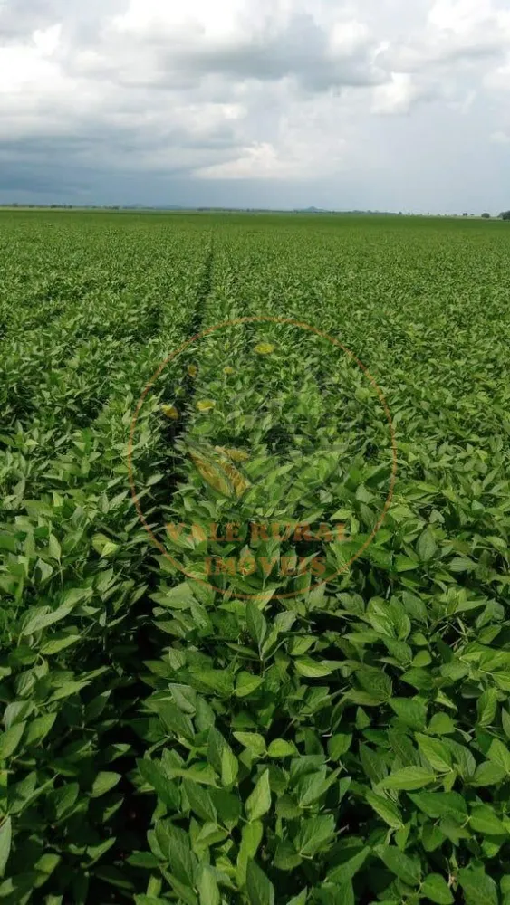 Fazenda - Foto 10