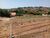 Chácara, 4 quartos, 2 hectares - Foto 3