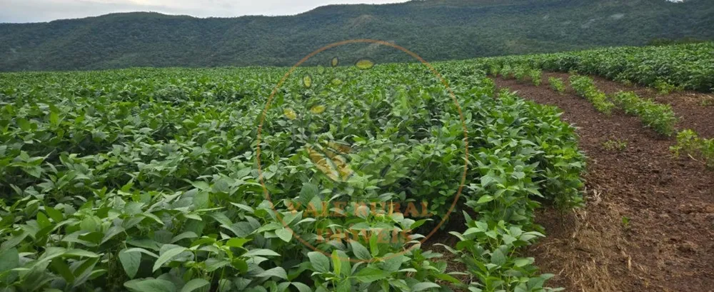Fazenda, 1 quarto - Foto 4