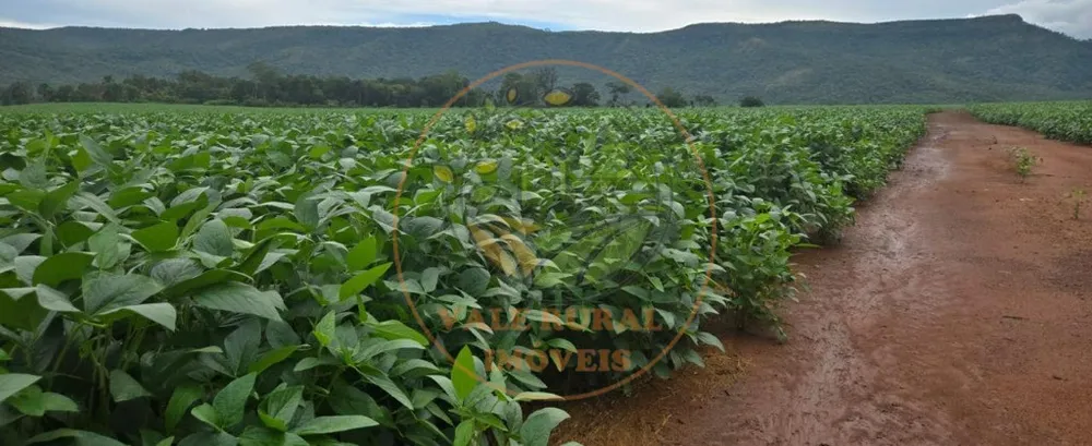Fazenda, 1 quarto - Foto 8