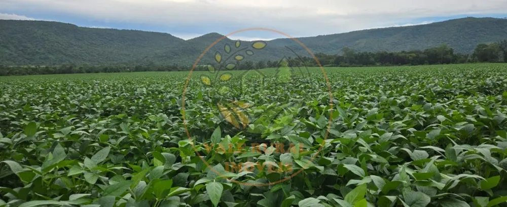 Fazenda, 1 quarto - Foto 6