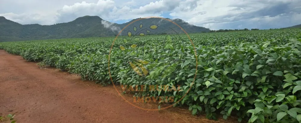 Fazenda, 1 quarto - Foto 1