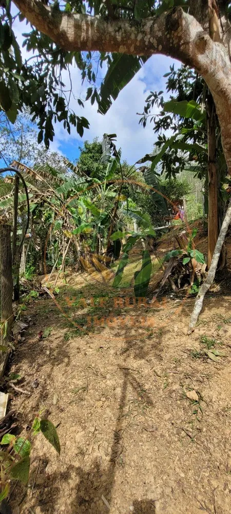 Sítio, 1 quarto, 2 hectares - Foto 4