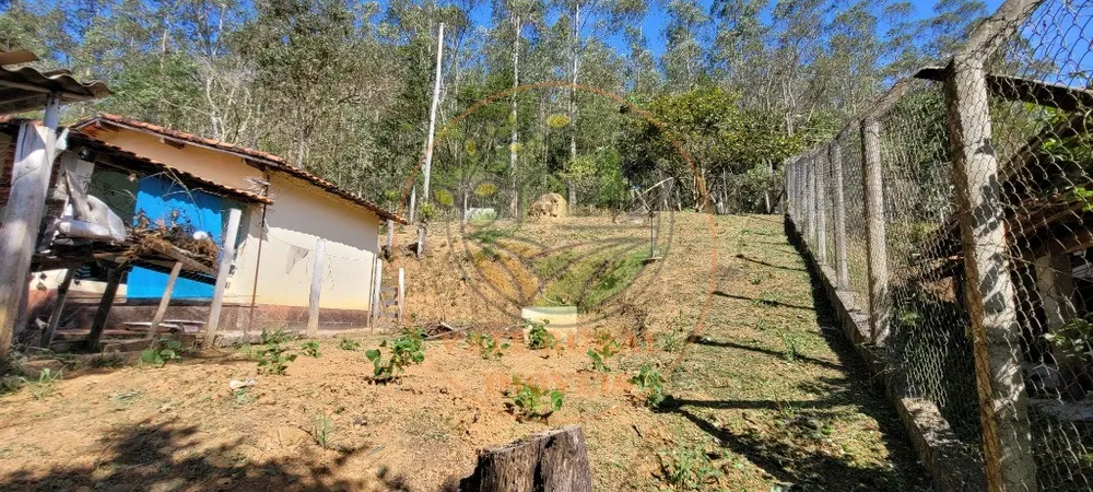 Sítio, 1 quarto, 2 hectares - Foto 3