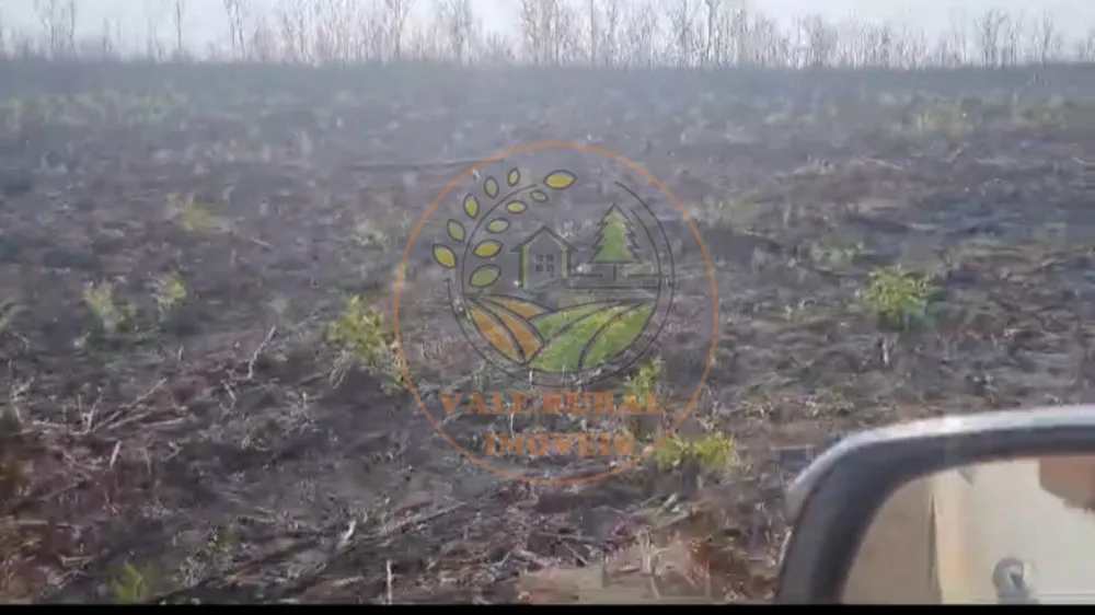 Fazenda - Foto 3