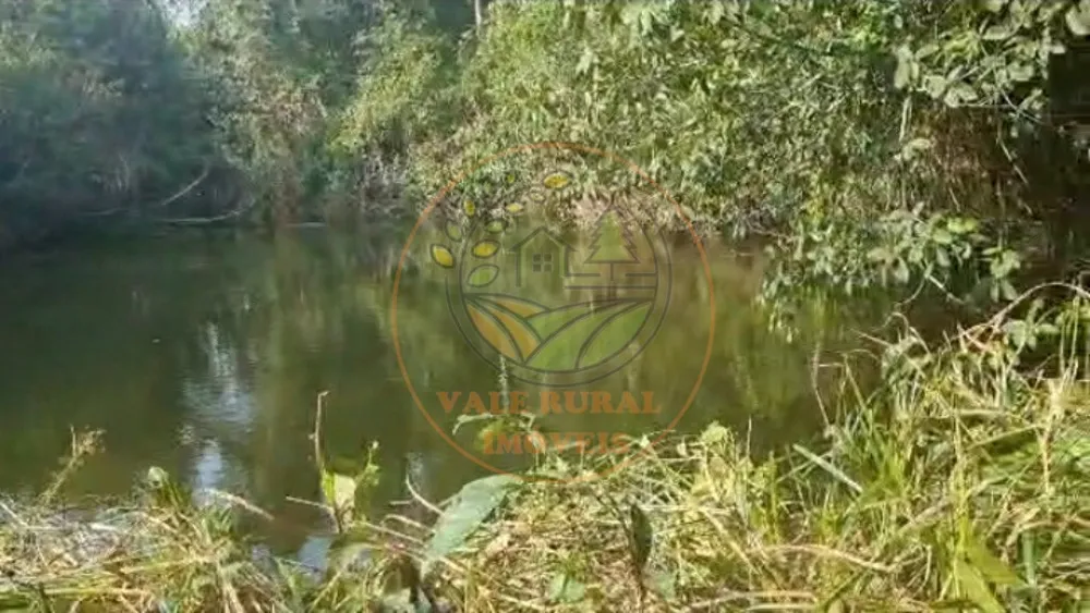 Fazenda - Foto 6