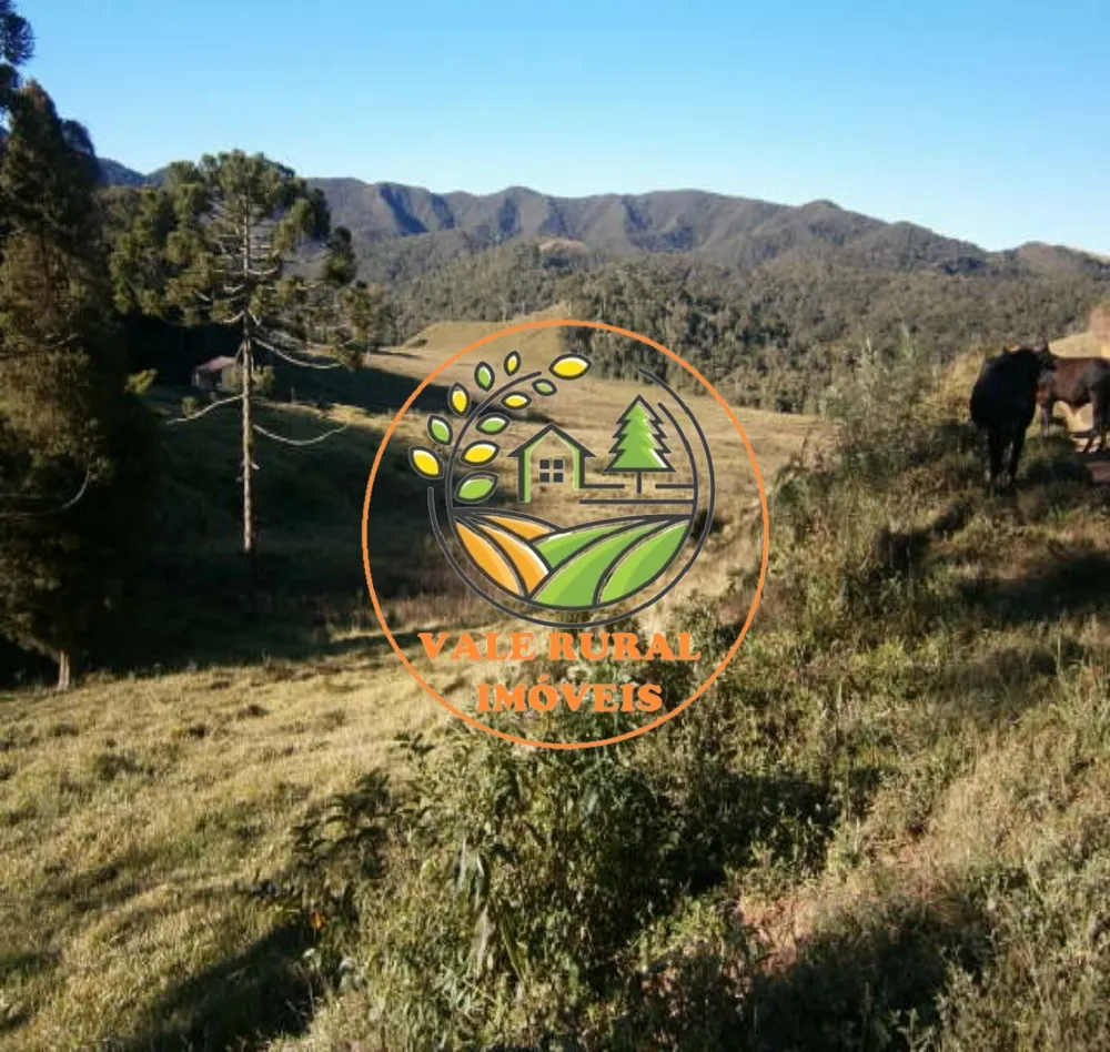 Fazenda, 295 m² - Foto 2