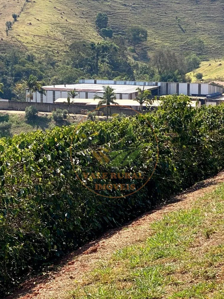 Fazenda, 4 quartos - Foto 8