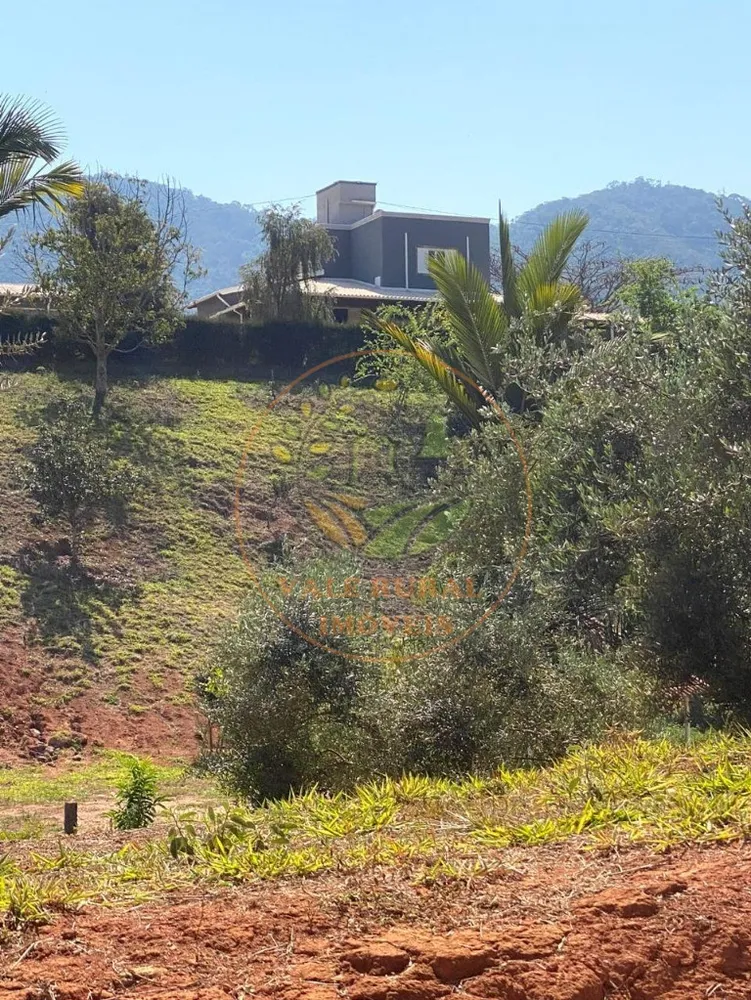 Fazenda, 4 quartos - Foto 6