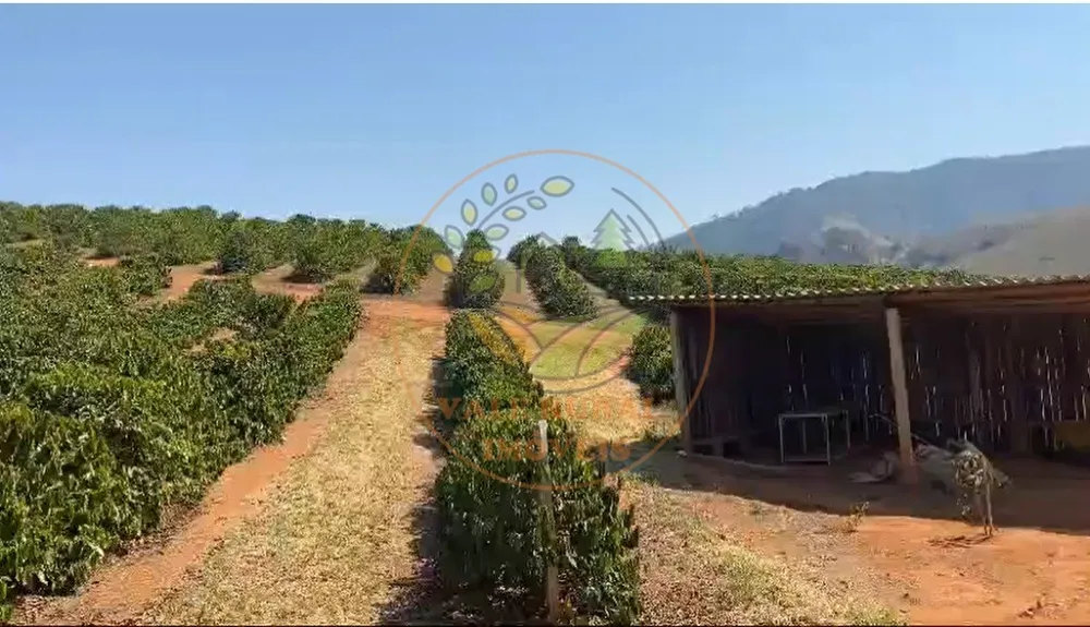 Fazenda, 4 quartos - Foto 2