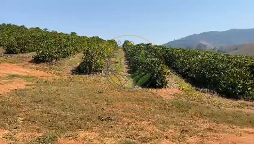Fazenda, 4 quartos - Foto 4