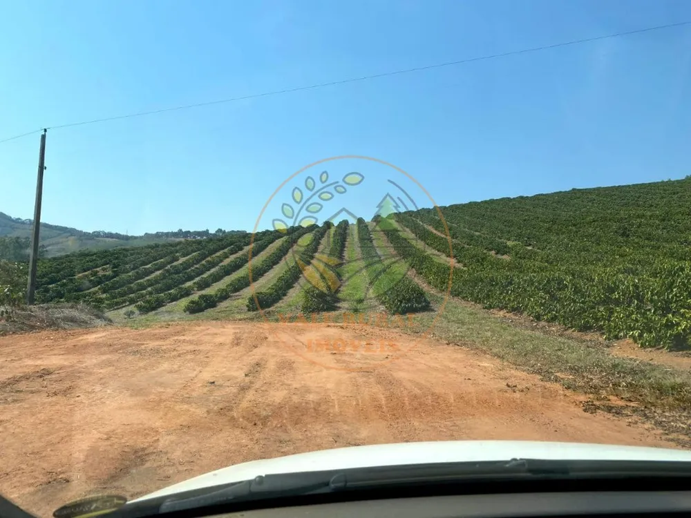 Fazenda, 4 quartos - Foto 1