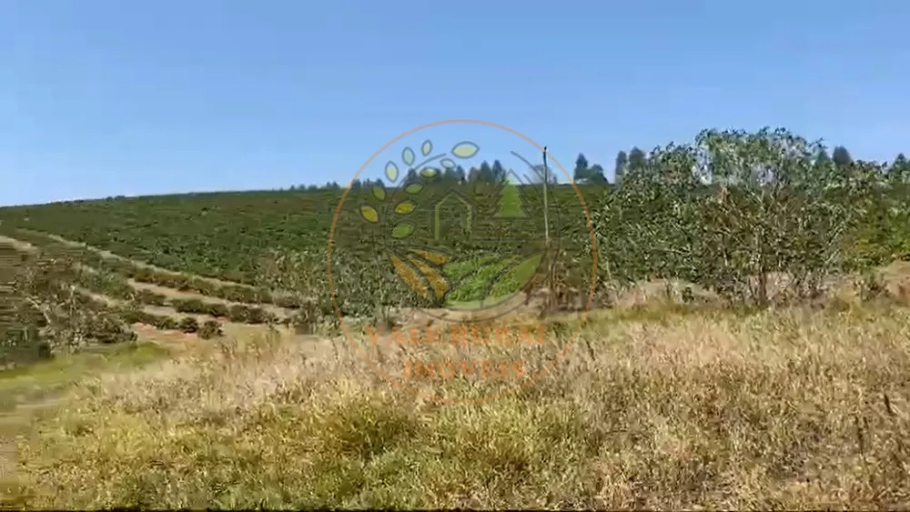 Fazenda, 4 quartos - Foto 5