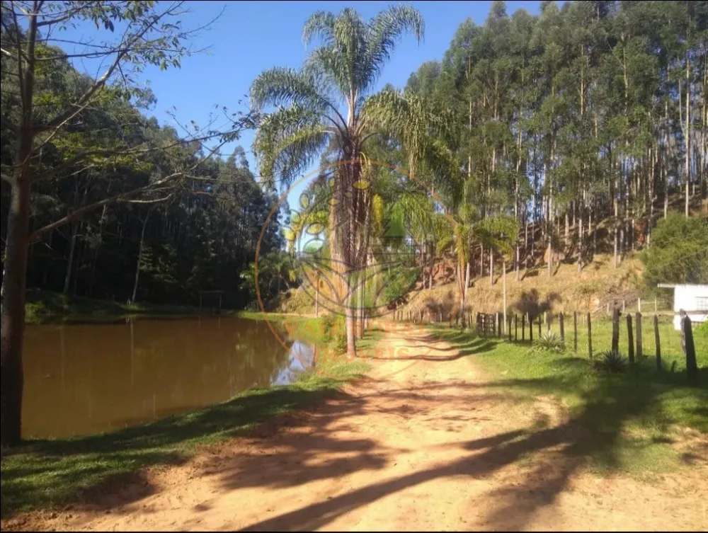 Fazenda - Foto 3