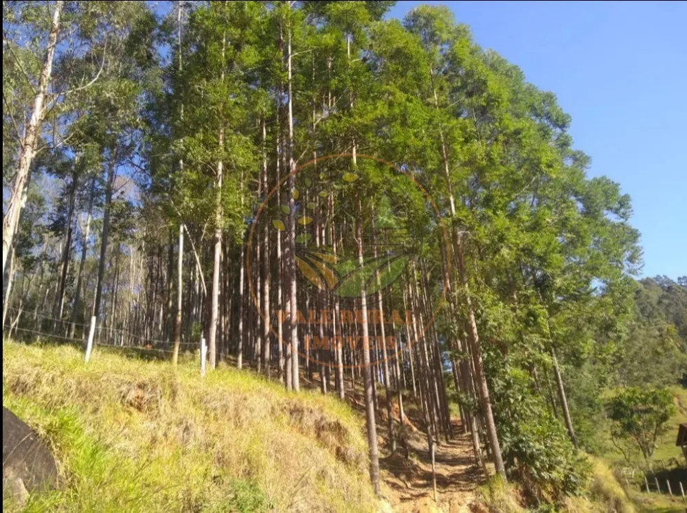 Fazenda - Foto 5