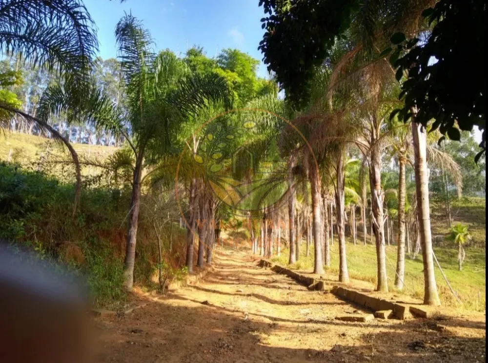 Fazenda - Foto 6