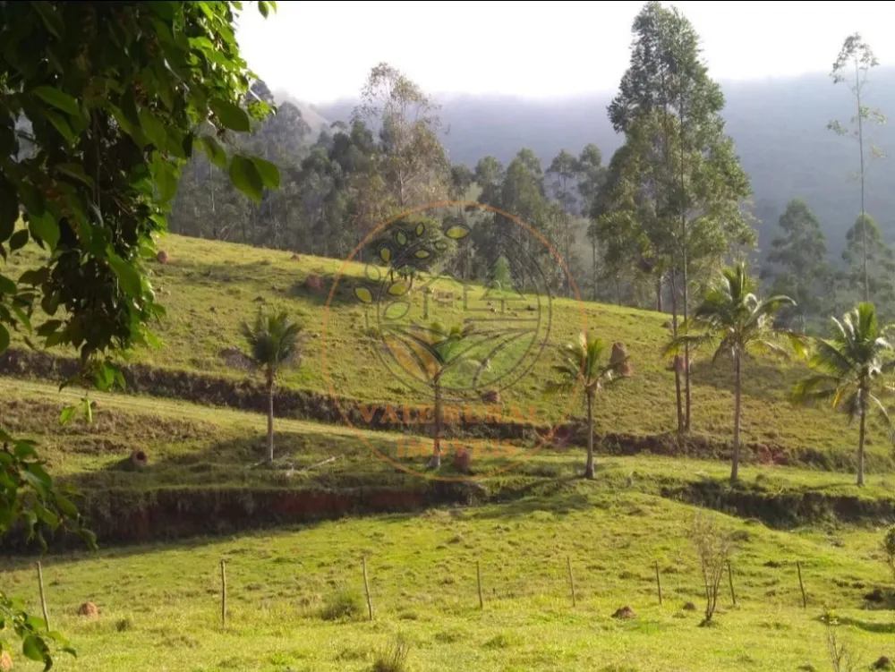 Fazenda - Foto 8