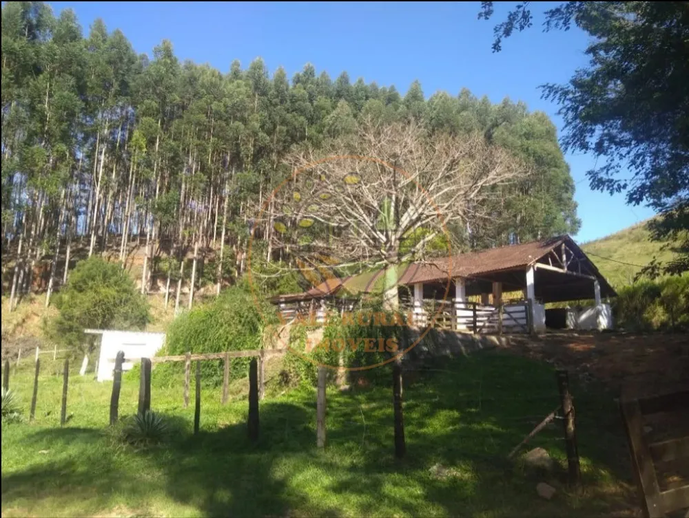 Fazenda - Foto 7