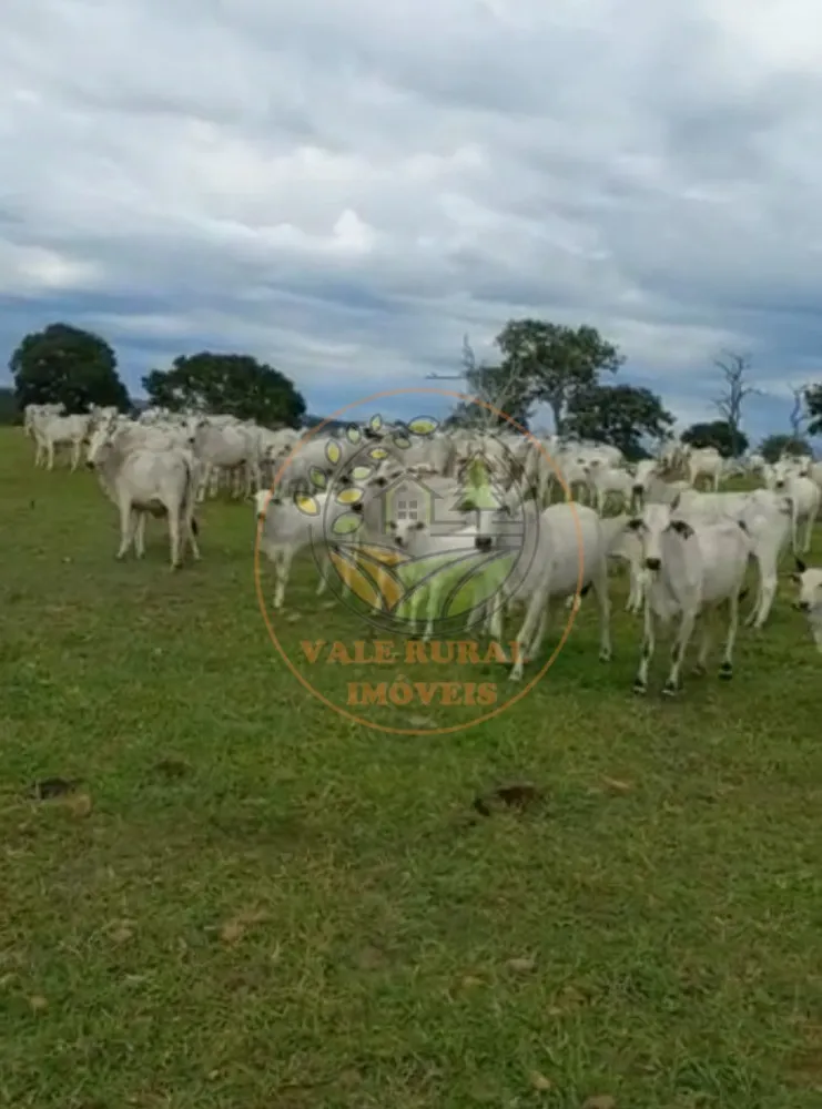Fazenda - Foto 5
