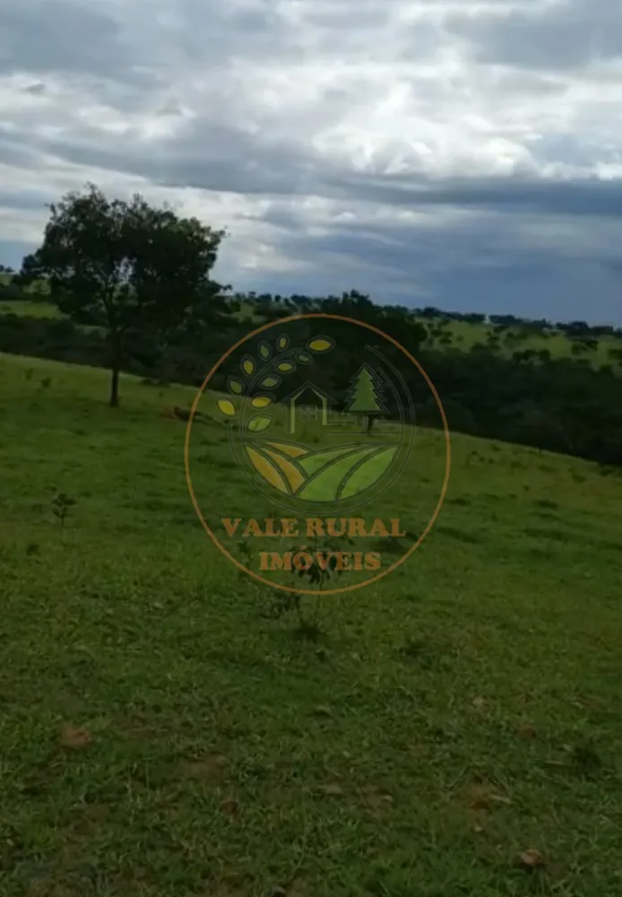 Fazenda - Foto 6