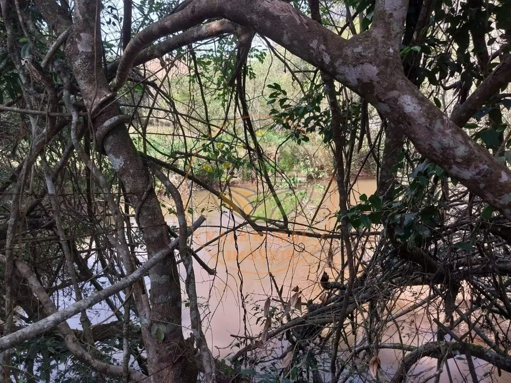 Fazenda - Foto 9