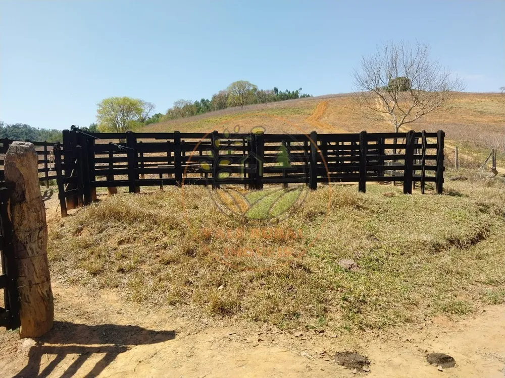 Fazenda - Foto 2