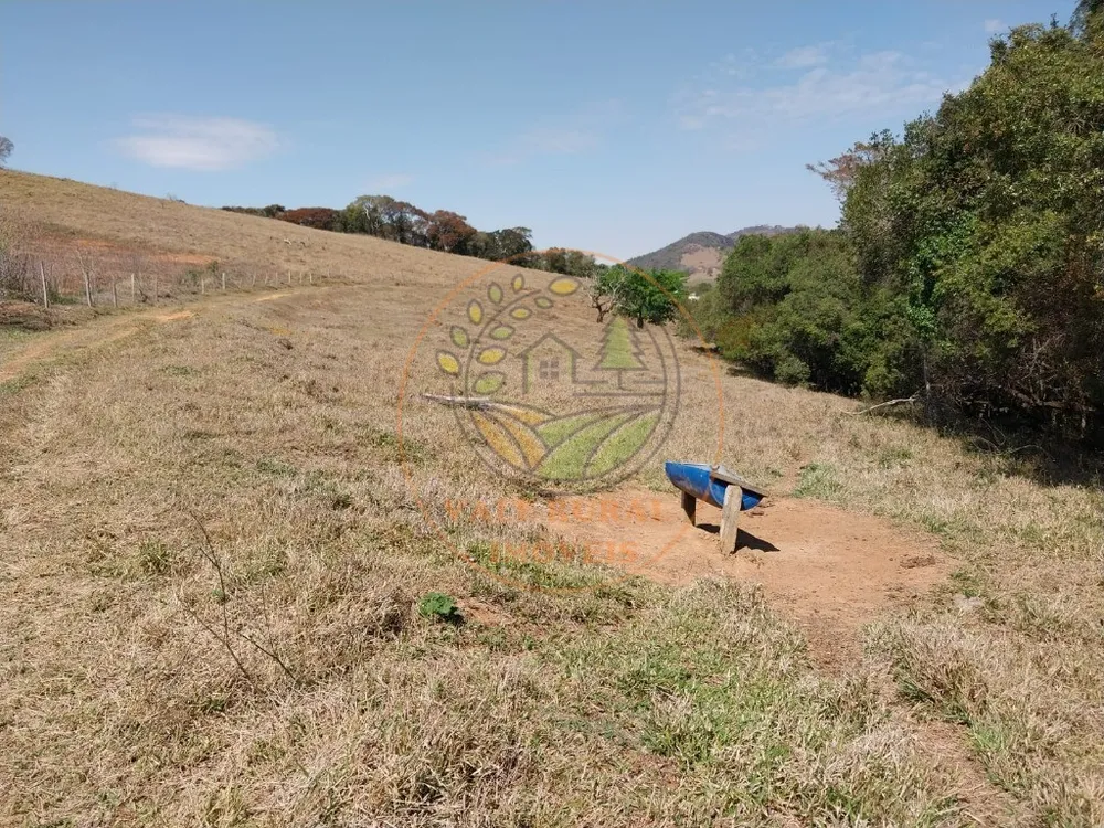 Fazenda - Foto 12