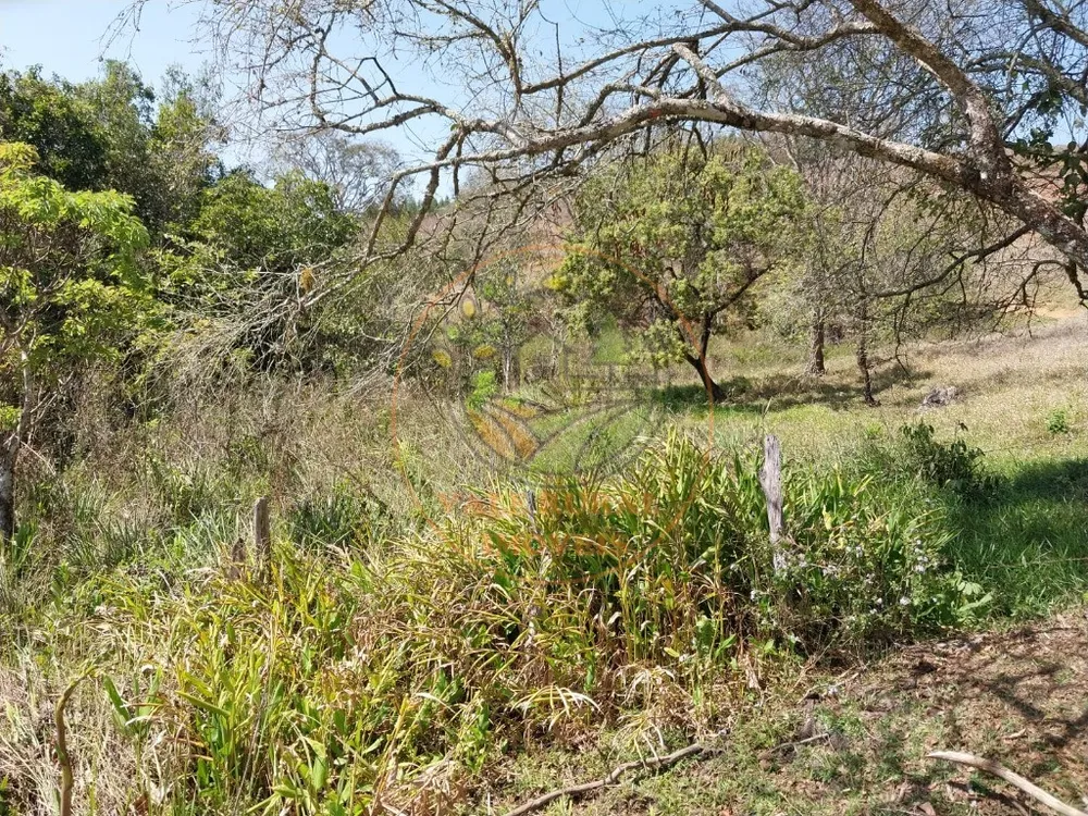 Fazenda - Foto 11