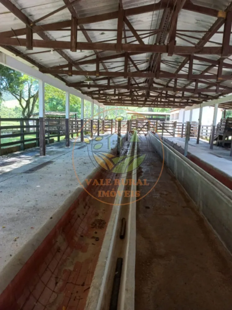 Fazenda - Foto 8