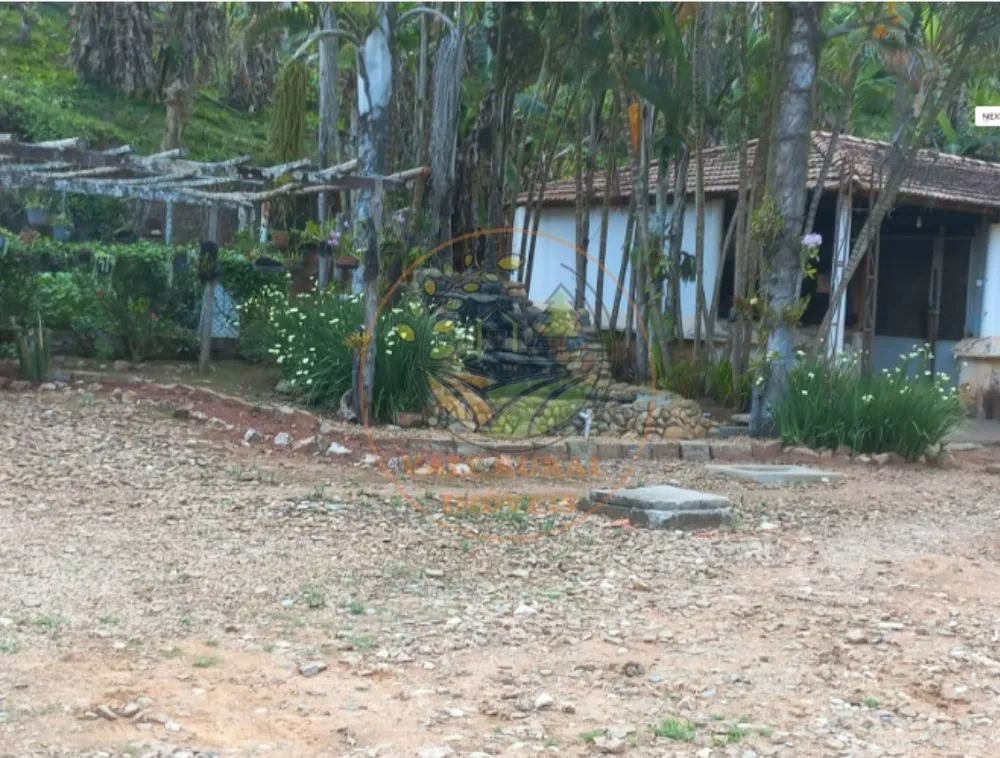 Fazenda - Foto 5