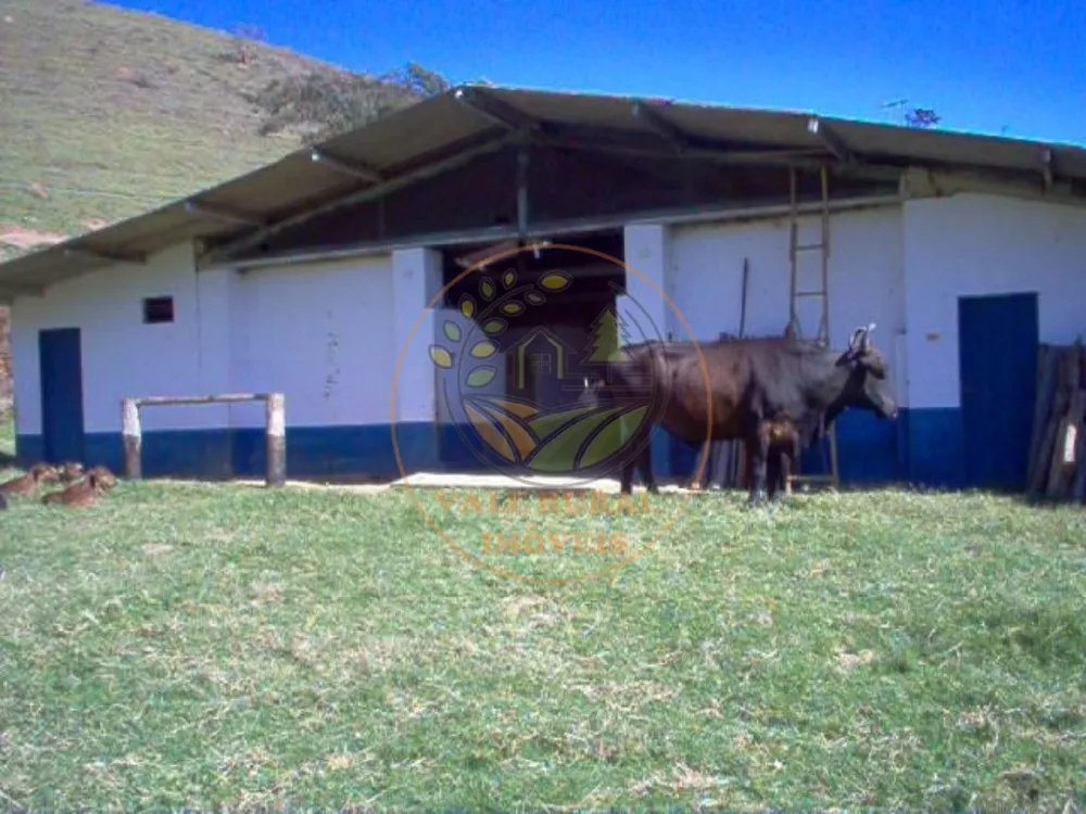 Fazenda à venda com 5 quartos, 47m² - Foto 3