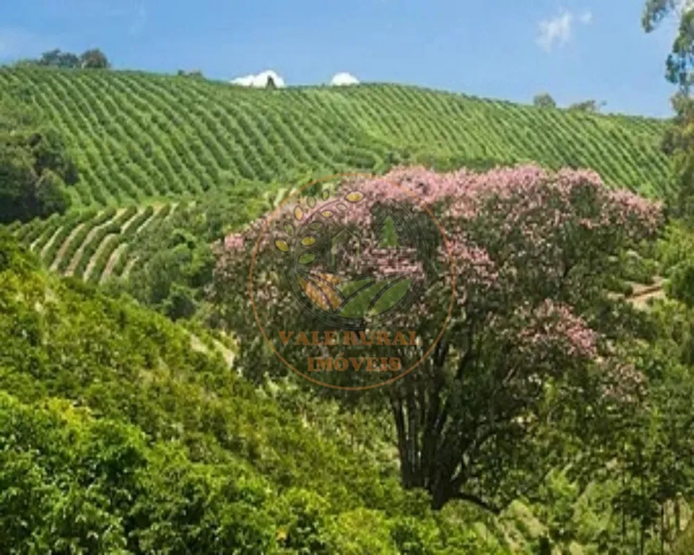 Fazenda, 216 m² - Foto 1