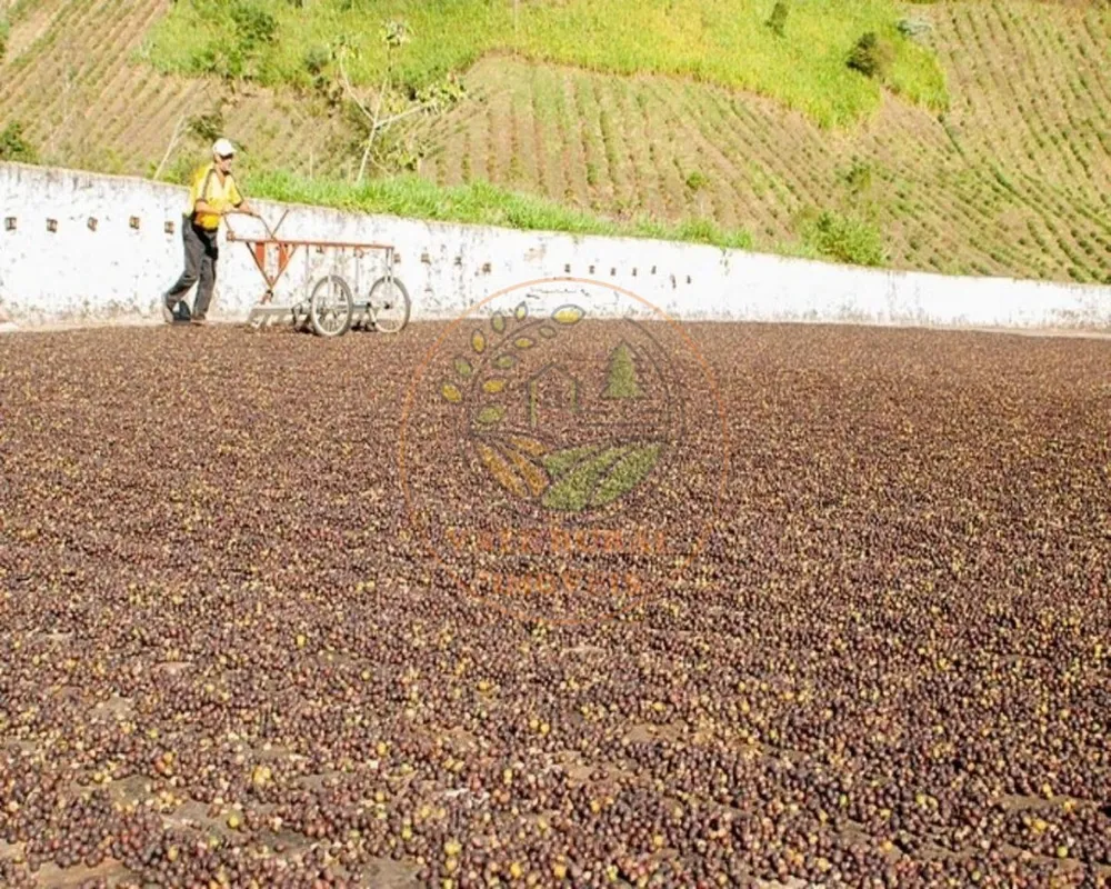 Fazenda, 216 m² - Foto 5