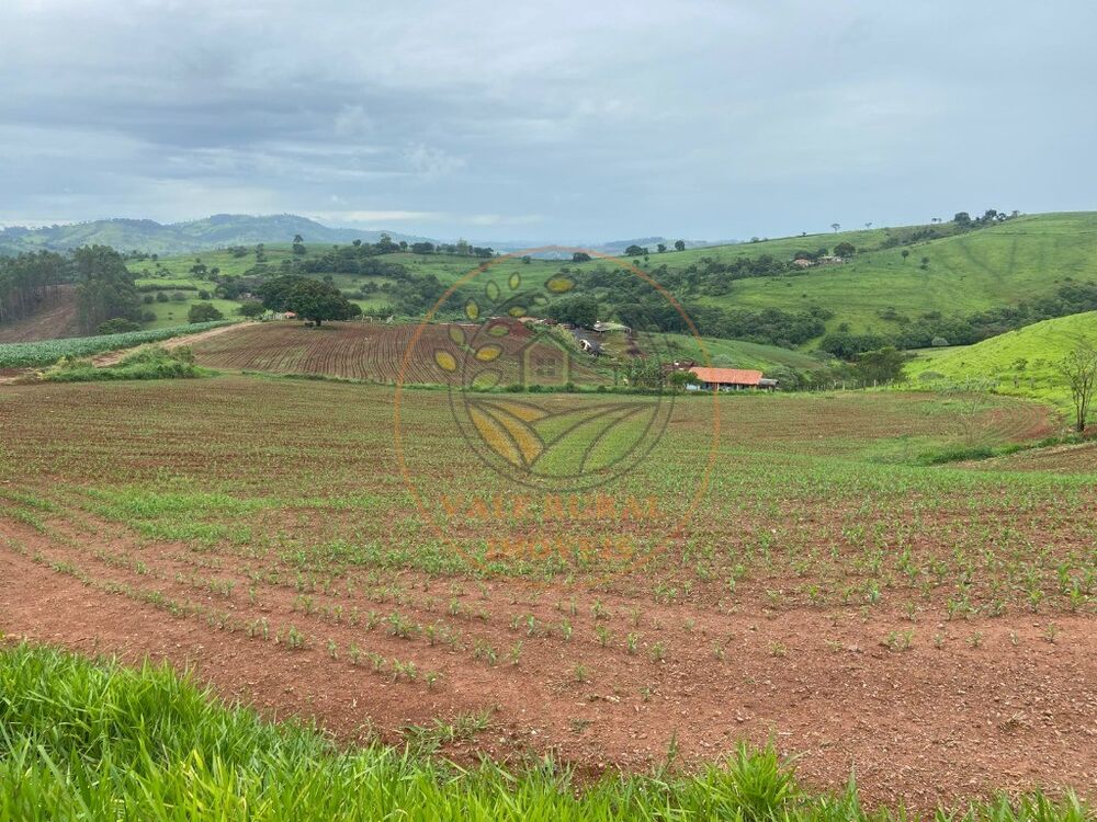 Fazenda-Sítio-Chácara, 47 m² - Foto 2