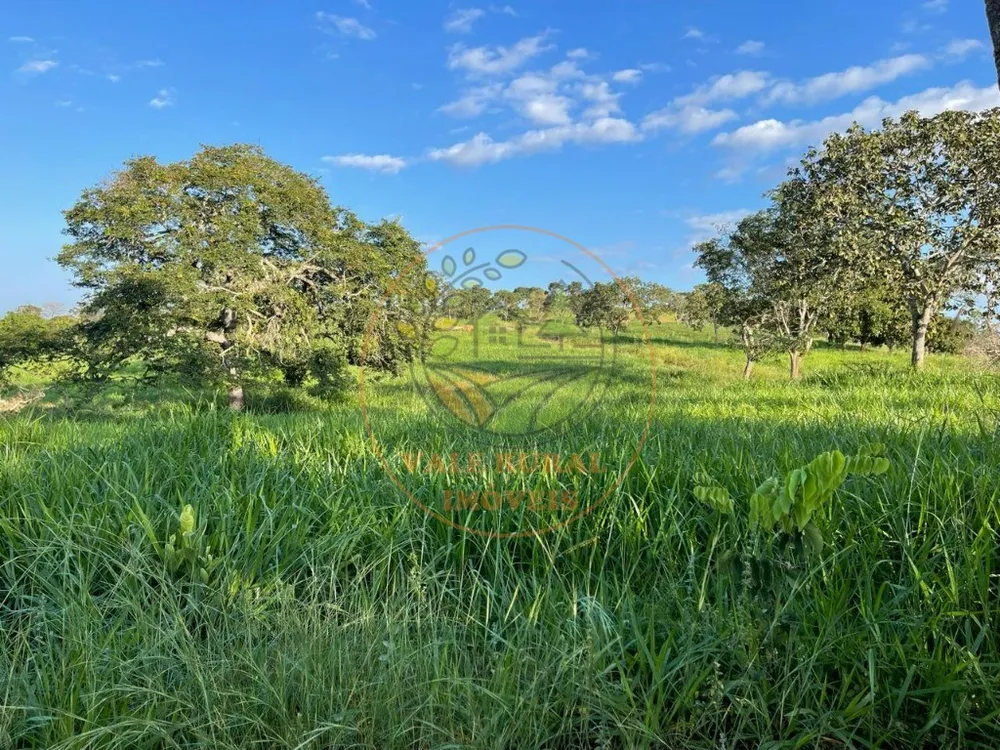 Fazenda - Foto 3