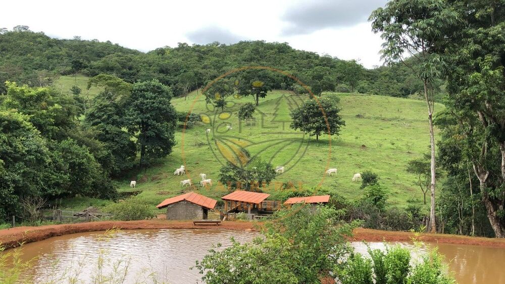 Fazenda à venda - Foto 3
